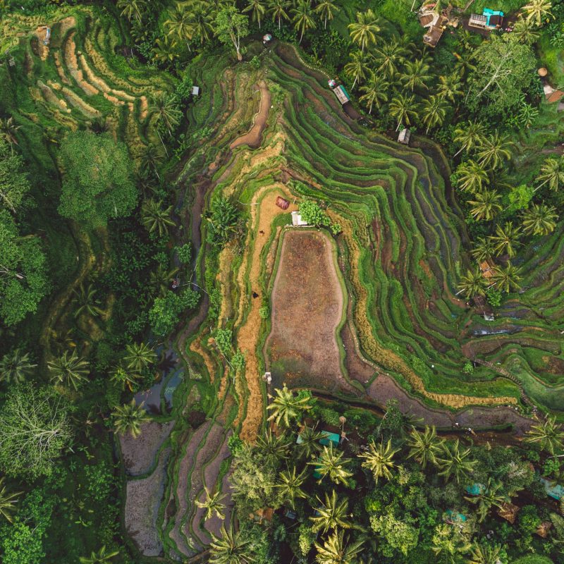 bali-2022-02-02-03-58-27-utc