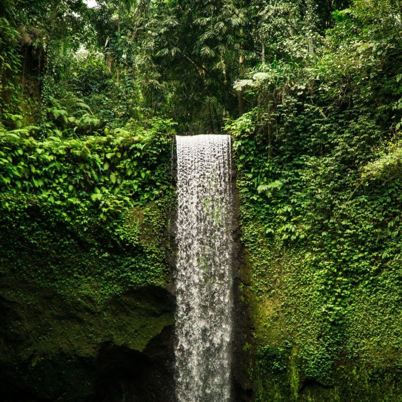 bali-waterfall-2022-11-02-16-14-28-utc